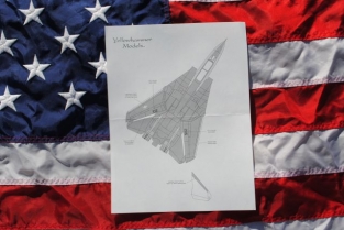 Y48-02 F-14D Tomcats of the Pacific Fleet